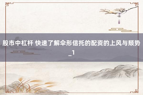 股市中杠杆 快速了解伞形信托的配资的上风与颓势_1